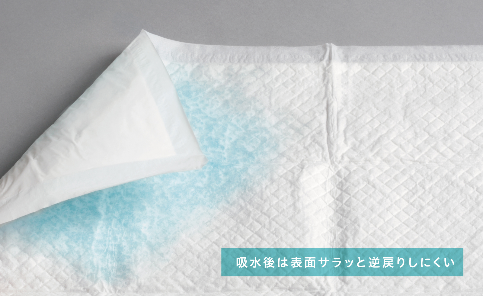 Firmly water-absorbing sheet light