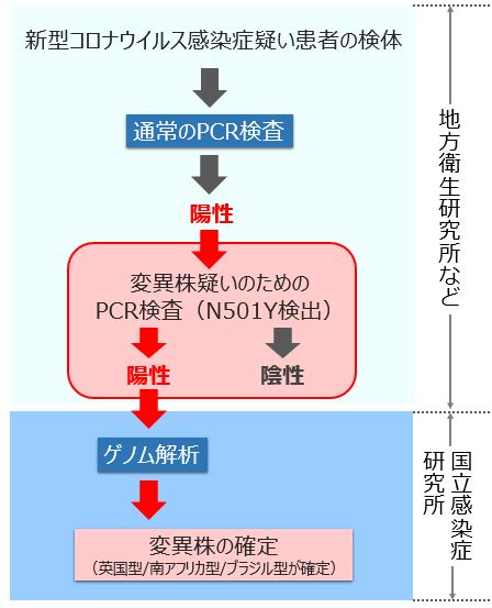 コロナ ウィルス 検査 方法