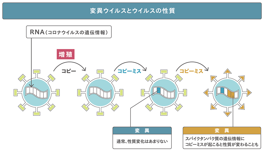 ブースターは必要ですか？