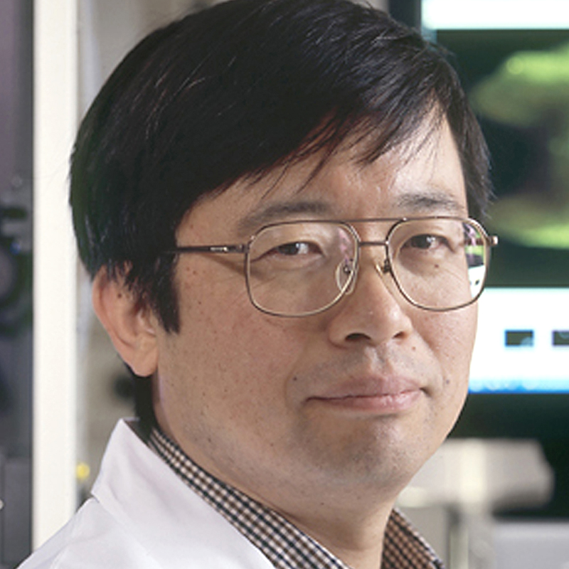 NIH/NCI (National Institutes of Health/National Cancer Institute) Molecular Imaging Division (Branch) Molecular Theranostics Laboratory Chief Hisataka Kobayashi