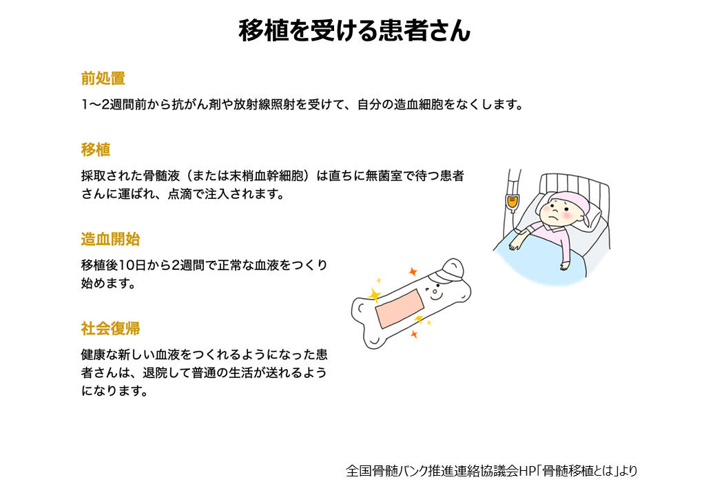 骨髄移植はどのように行われるか