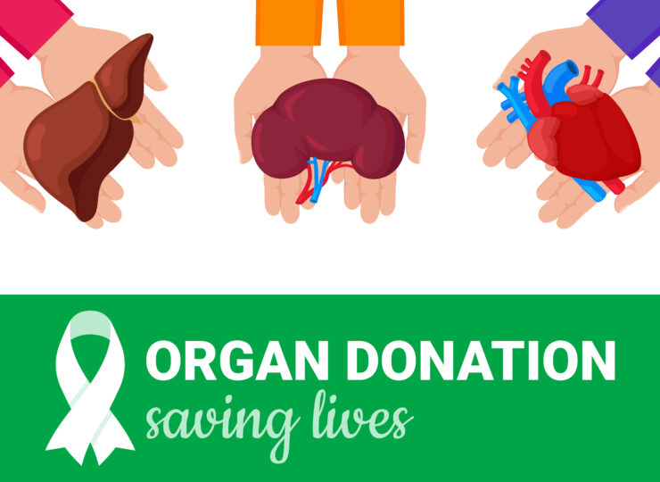 Mechanism of organ transplantation (1) Rules, main flow, donor registration